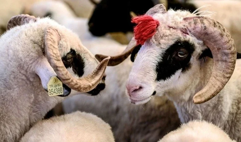 Milyonlara Müjde: 2025 Kurban Bayram Tatili 9 Gün Oluyor!