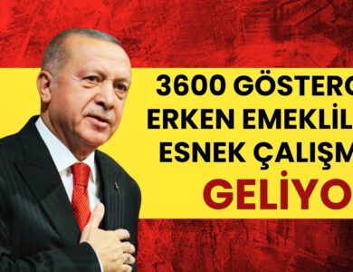 Emeklilik ve Çalışma Hayatında Büyük Değişim: 3600 Ek Gösterge, Erken Emeklilik, Esnek ve Uzaktan Çalışma Geliyor