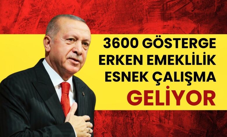 Emeklilik ve Çalışma Hayatında Büyük Değişim: 3600 Ek Gösterge, Erken Emeklilik, Esnek ve Uzaktan Çalışma Geliyor