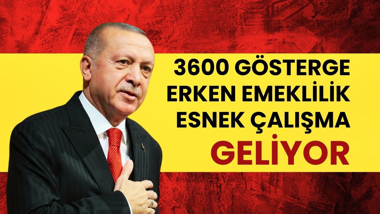 Emeklilik ve Çalışma Hayatında Büyük Değişim: 3600 Ek Gösterge, Erken Emeklilik, Esnek ve Uzaktan Çalışma Geliyor