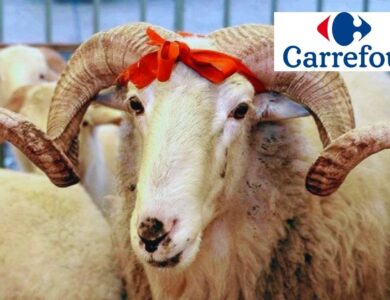 Carrefour 2025 Kurbanlık Fiyatlarını Açıkladı: Küçükbaş ve Büyükbaş Seçenekleri Satışta
