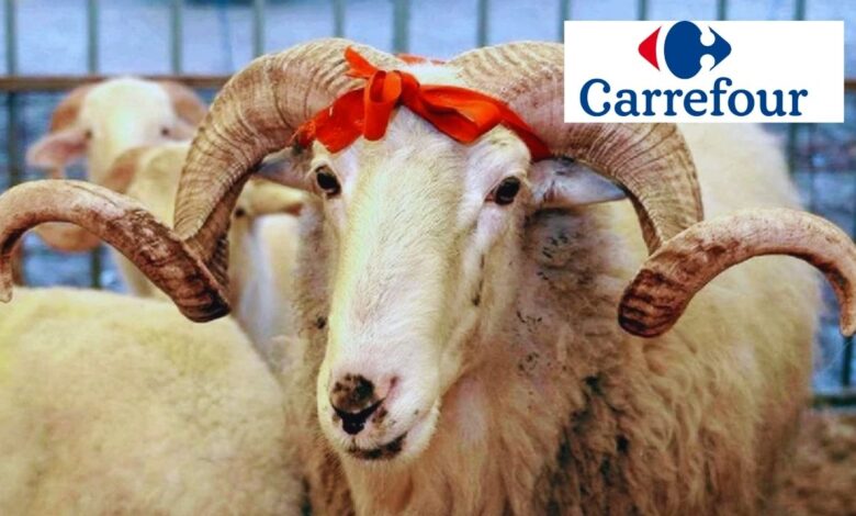 Carrefour 2025 Kurbanlık Fiyatlarını Açıkladı: Küçükbaş ve Büyükbaş Seçenekleri Satışta