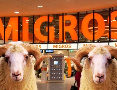 Migros 2025 Kurbanlık Fiyatları Açıklandı: Küçükbaş ve Büyükbaş Kurbanlıklar Ne Kadar?