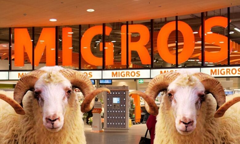 Migros 2025 Kurbanlık Fiyatları Açıklandı: Küçükbaş ve Büyükbaş Kurbanlıklar Ne Kadar?