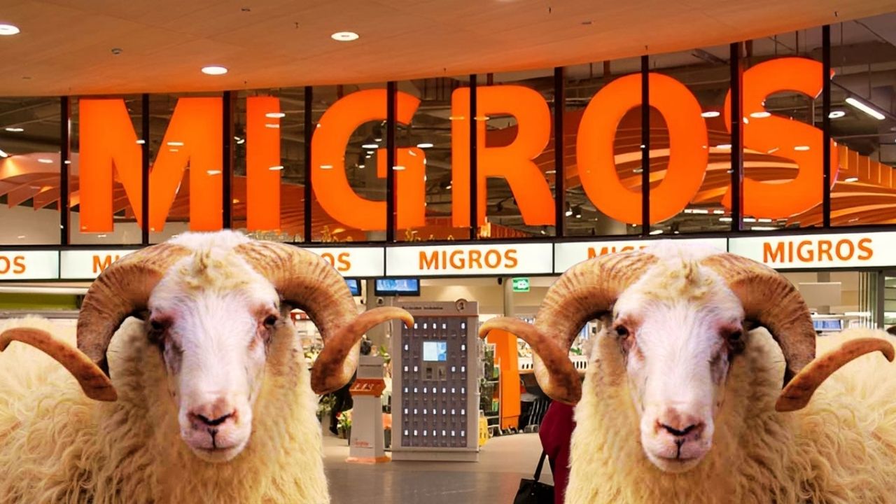Migros 2025 Kurbanlık Fiyatları Açıklandı: Küçükbaş ve Büyükbaş Kurbanlıklar Ne Kadar?