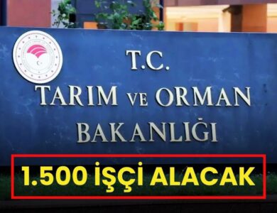 Tarım Bakanlığı 1500 işçi alım ilanı Resmi Gazete: Son başvuru 13 Mayıs 2025