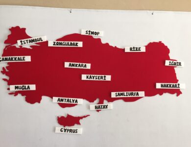 Türkiye'nin 82. Plakası Belli Oldu: Konya, Antalya, Mardin, Diyarbakır, İstanbul, Ordu, Balıkesir, Ankara, Zonguldak Hangi İlçesi?