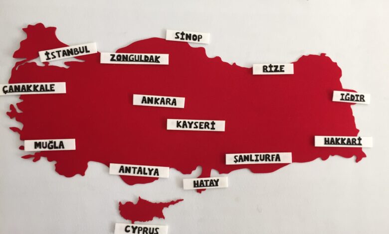Türkiye'nin 82. Plakası Belli Oldu: Konya, Antalya, Mardin, Diyarbakır, İstanbul, Ordu, Balıkesir, Ankara, Zonguldak Hangi İlçesi?