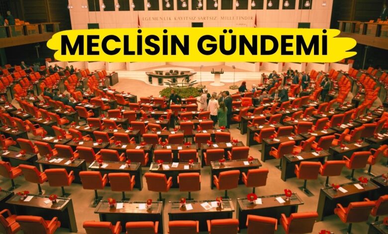 Meclis Tatile Girmeden Önce Son Gündemi Belli Oldu: İşte TBMM’de Bu Hafta Ele Alınacak Kanun Teklifleri
