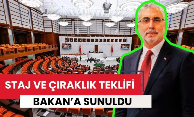Meclis Kapanmadan Son Dakika Hamlesi: Staj ve Çıraklık Mağdurlarına Emeklilik TBMM'de