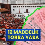 Son Dakika: Emekli Maaşları ve Çalışma Hayatıyla İlgili 12 Maddelik Torba Yasa Geliyor