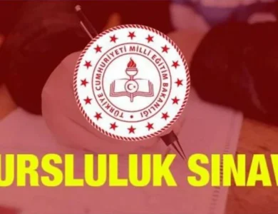 MEB İOKBS (Bursluluk Sınavına Girenler) Dikkat! İptal Olabilir!