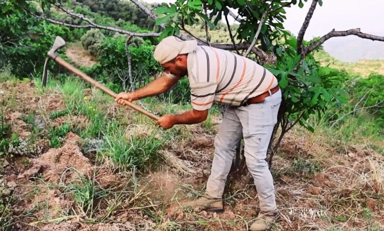 Kravatı çıkardı, çapayı kaptı! Üniversite mezunu ama bu işte daha çok kazanıyor
