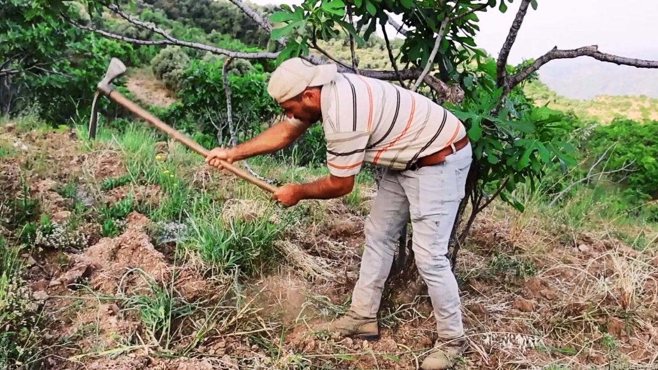 Kravatı çıkardı, çapayı kaptı! Üniversite mezunu ama bu işte daha çok kazanıyor
