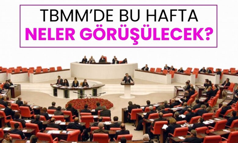TBMM’de bu hafta: 30 maddelik Torba Yasa görüşülecek