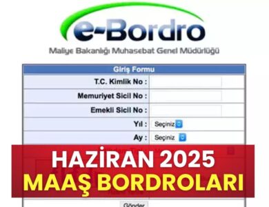 Haziran 2025 Maaş Bordroları Yayımlandı: E-Devlet'ten Sorgulayabilirsiniz!