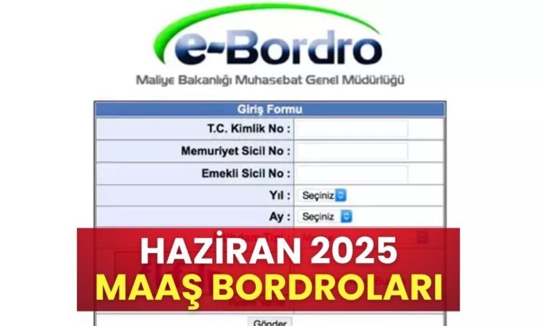 Haziran 2025 Maaş Bordroları Yayımlandı: E-Devlet'ten Sorgulayabilirsiniz!