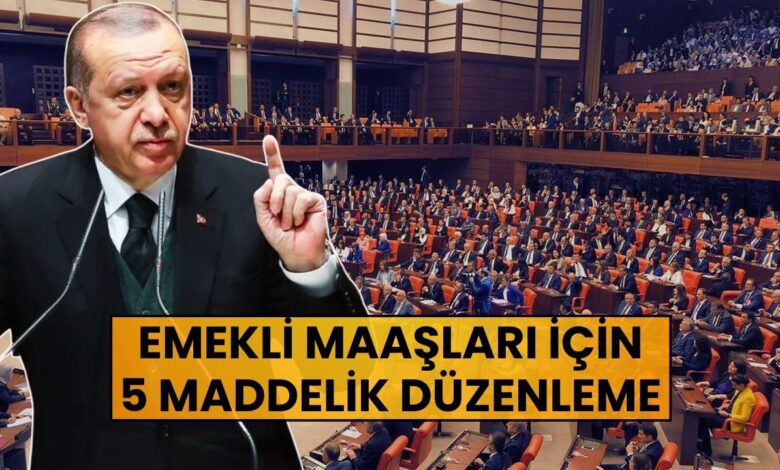 Emekli Maaşları İçin 5 Maddelik Acil Düzenleme Gündemde