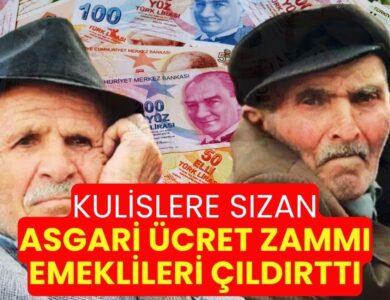 Kulislerden sızan asgari ücret zammı emeklileri çıldırttı