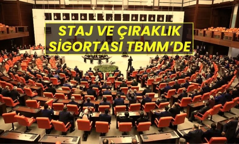 Staj ve Çıraklık Sigortası Mağdurları Meclis’te: "Adalet İstiyoruz!"