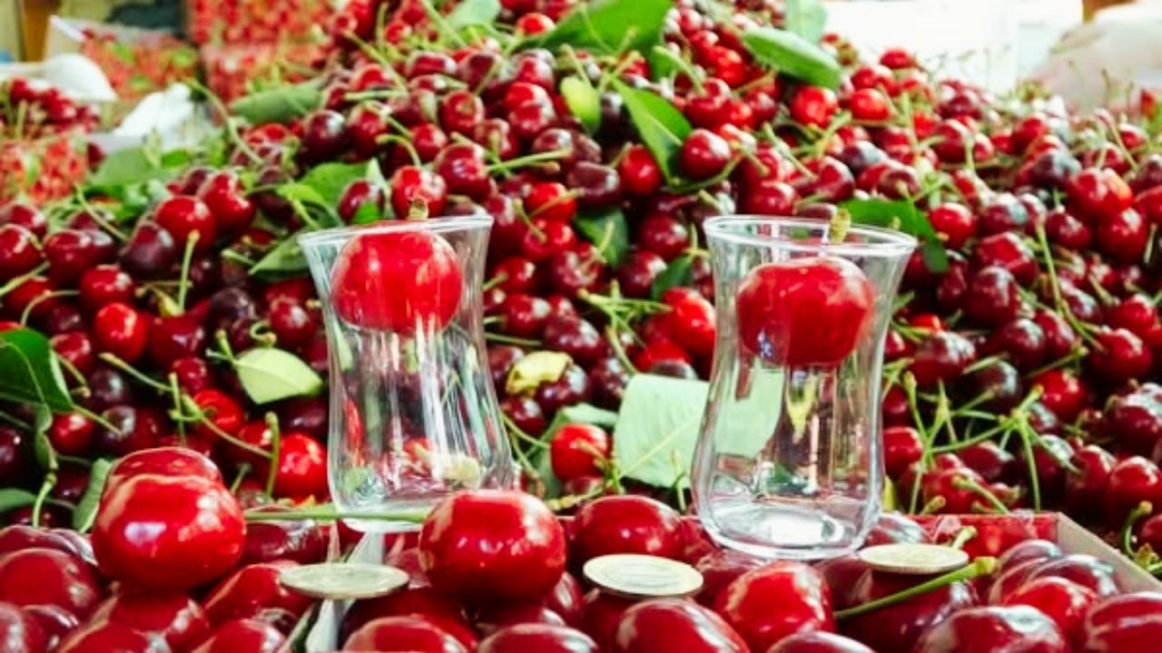 Çay Bardağına Sığmayan Kirazın Hasadı Başladı: Kilosu Tam 700 TL!