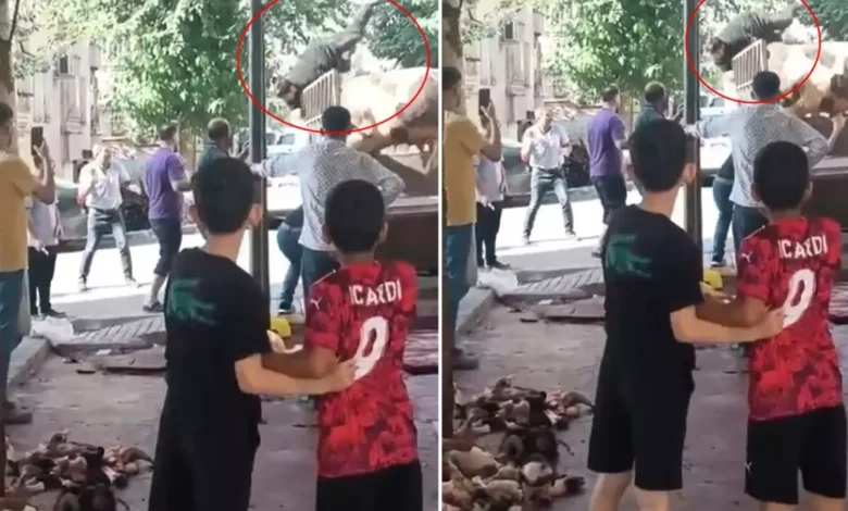 Kurban Bayramının İlk Boğa Saldırısı: 10'larca Darbe İle Kasabı Darbeledi!