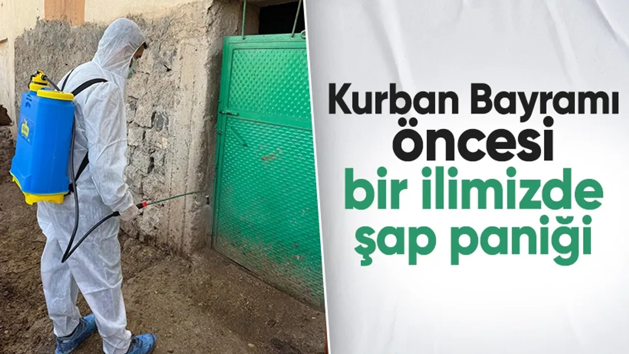 Bu İlde Yaşayanlar Dikkat: Kurban Bayramı Öncesi Şap Hastalığı Çıktı!